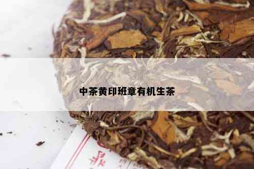 中茶黄印班章有机生茶