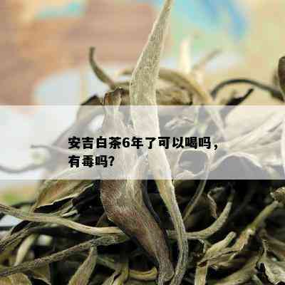 安吉白茶6年了可以喝吗，有吗？