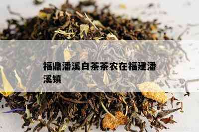 福鼎潘溪白茶茶农在福建潘溪镇