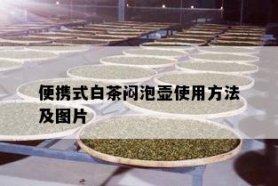 便携式白茶闷泡壶使用方法及图片