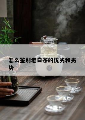 怎么鉴别老白茶的优劣和劣势