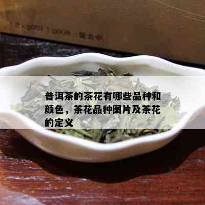 普洱茶的茶花有哪些品种和颜色，茶花品种图片及茶花的定义