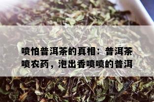 喷怕普洱茶的真相：普洱茶喷农，泡出香喷喷的普洱