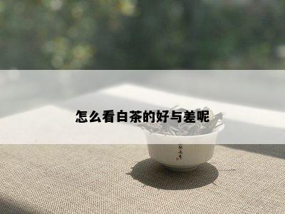 怎么看白茶的好与差呢