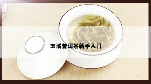 玉溪普洱茶新手入门