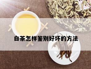 白茶怎样鉴别好坏的方法