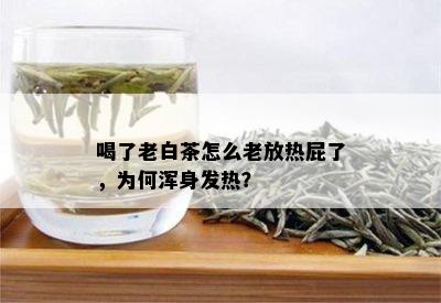 喝了老白茶怎么老放热屁了，为何浑身发热？