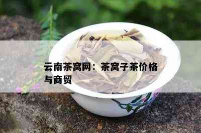 云南茶窝网：茶窝子茶价格与商贸