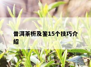 普洱茶析及鉴15个技巧介绍