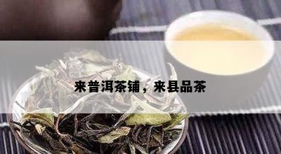 来普洱茶铺，来县品茶