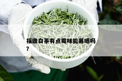 福鼎白茶有点霉味能暴晒吗？