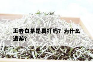 王者白茶是真打吗？为什么退游？