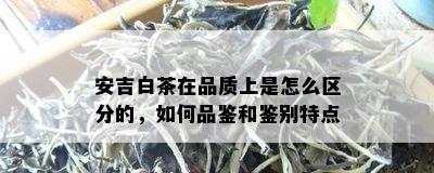 安吉白茶在品质上是怎么区分的，如何品鉴和鉴别特点