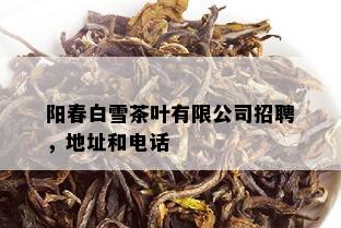 阳春白雪茶叶有限公司招聘，地址和电话