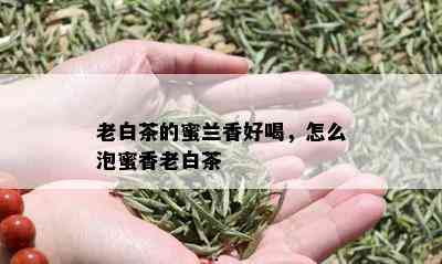 老白茶的蜜兰香好喝，怎么泡蜜香老白茶