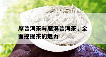 摩普洱茶与魔滇普洱茶，全面挖掘茶的魅力