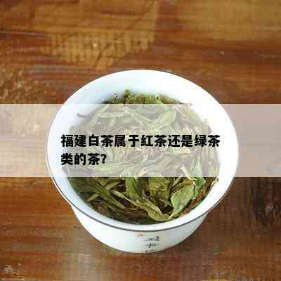 福建白茶属于红茶还是绿茶类的茶？