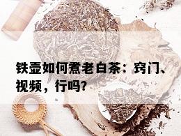 铁壶如何煮老白茶：窍门、视频，行吗？