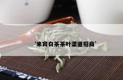 ‘来宾白茶茶叶渠道招商’