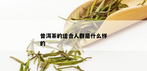 普洱茶的适合人群是什么样的