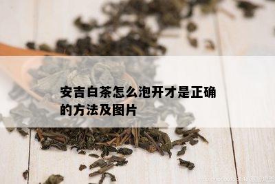 安吉白茶怎么泡开才是正确的方法及图片