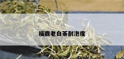 福鼎老白茶耐泡度