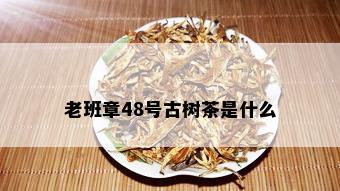 老班章48号古树茶是什么