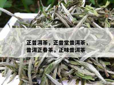 正普洱茶，正普堂普洱茶，普洱正春茶，正味普洱茶