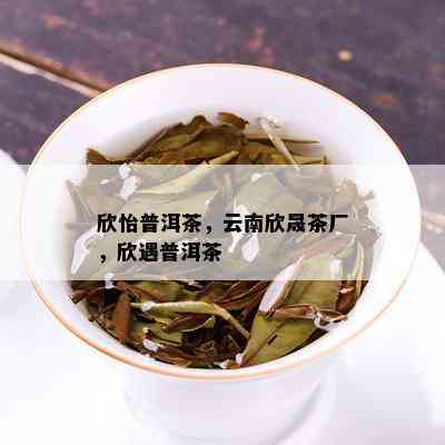 欣怡普洱茶，云南欣晟茶厂，欣遇普洱茶