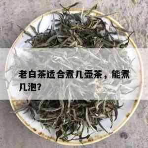 老白茶适合煮几壶茶，能煮几泡？