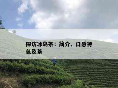 探访冰岛茶：简介、口感特色及茶