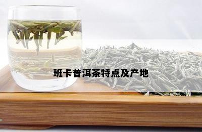 班卡普洱茶特点及产地