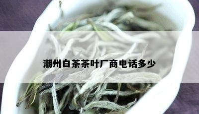 潮州白茶茶叶厂商电话多少