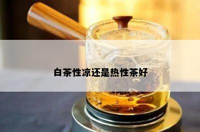 白茶性凉还是热性茶好