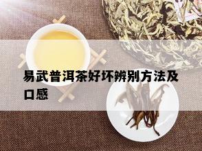 易武普洱茶好坏辨别方法及口感