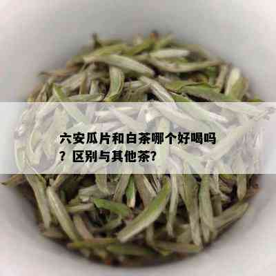 六安瓜片和白茶哪个好喝吗？区别与其他茶？