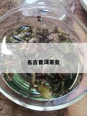 名古普洱茶业