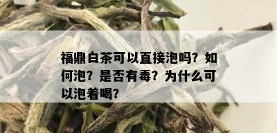 福鼎白茶可以直接泡吗？如何泡？是否有？为什么可以泡着喝？