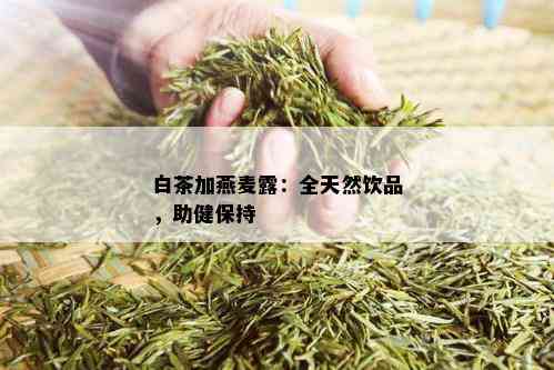 白茶加燕麦露：全天然饮品，助健保持