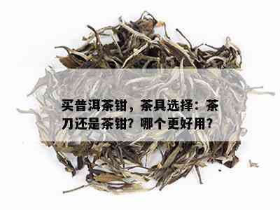 买普洱茶钳，茶具选择：茶刀还是茶钳？哪个更好用？