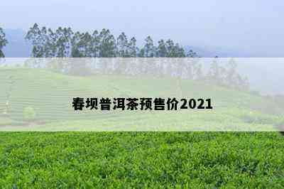 春坝普洱茶预售价2021