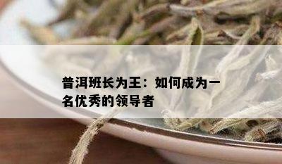 普洱班长为王：如何成为一名优秀的领导者