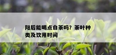 阳后能喝点白茶吗？茶叶种类及饮用时间