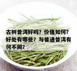 古树普洱好吗？价值如何？好处有哪些？与普通普洱有何不同？