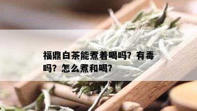 福鼎白茶能煮着喝吗？有吗？怎么煮和喝？