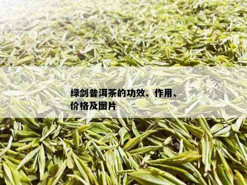 绿剑普洱茶的功效、作用、价格及图片