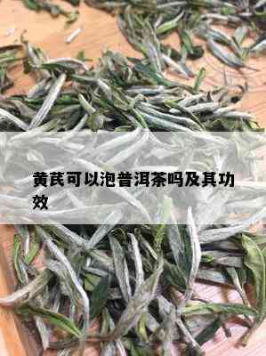 黄芪可以泡普洱茶吗及其功效