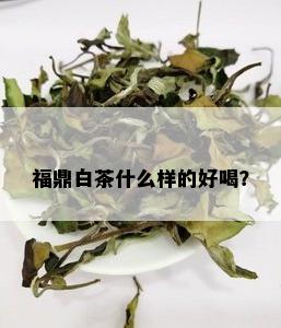 福鼎白茶什么样的好喝？