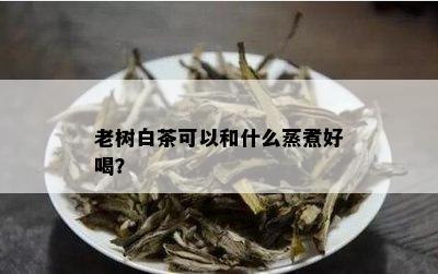 老树白茶可以和什么蒸煮好喝？