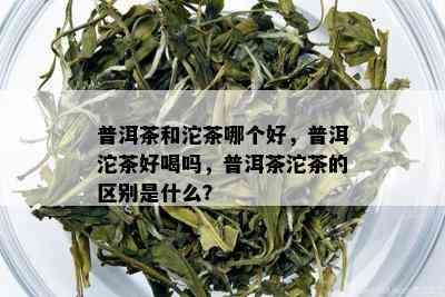 普洱茶和沱茶哪个好，普洱沱茶好喝吗，普洱茶沱茶的区别是什么？